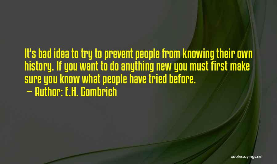 Knowing What You Want To Do Quotes By E.H. Gombrich