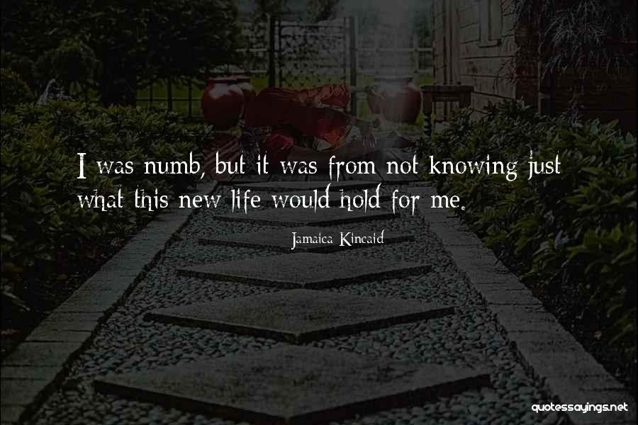Knowing When To Hold On And When To Let Go Quotes By Jamaica Kincaid Knowing When To Hold On And When To Let Go Quotes By Jamaica Kincaid