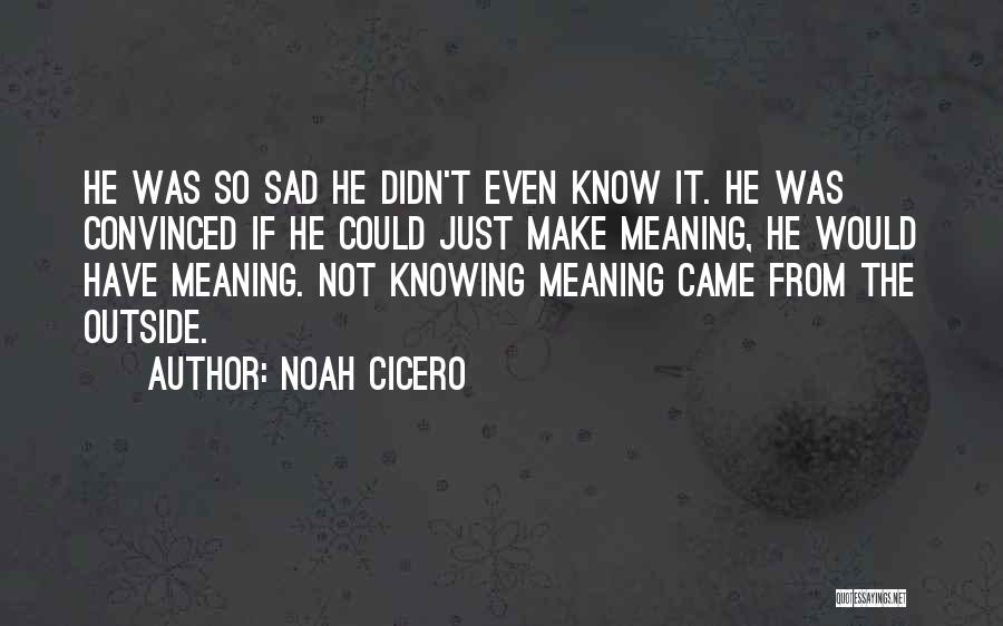 Knowing Where You Came From Quotes By Noah Cicero