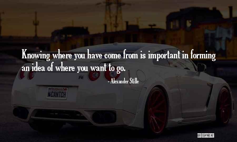 Knowing Where You Come From Quotes By Alexander Stille Knowing Where You Come From Quotes By Alexander Stille