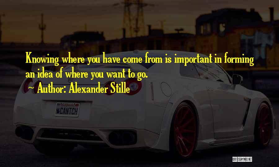 Knowing Where You're From Quotes By Alexander Stille