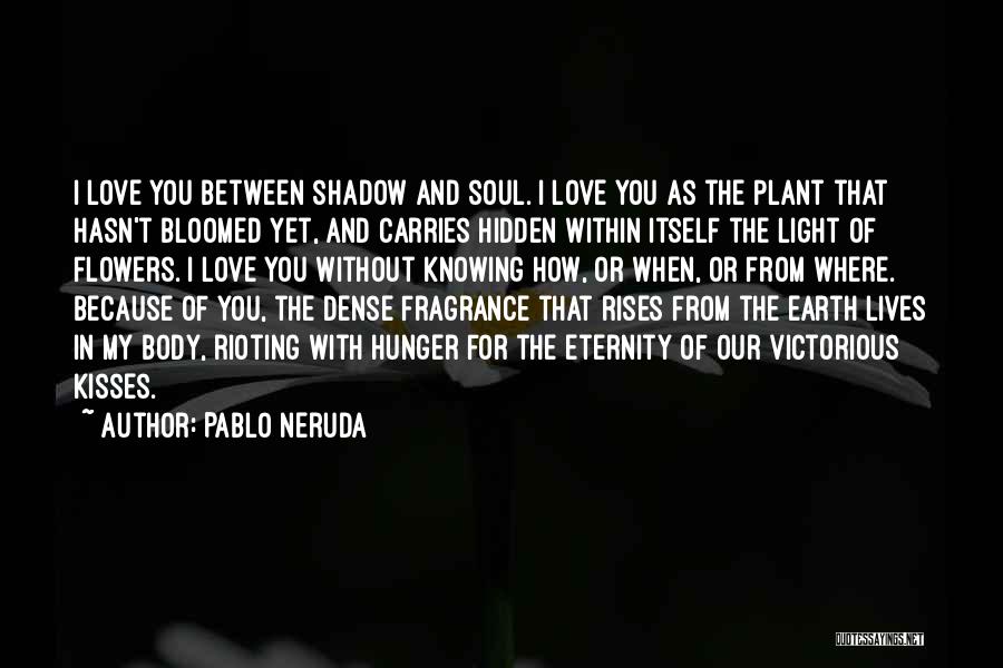 Knowing Where You're From Quotes By Pablo Neruda