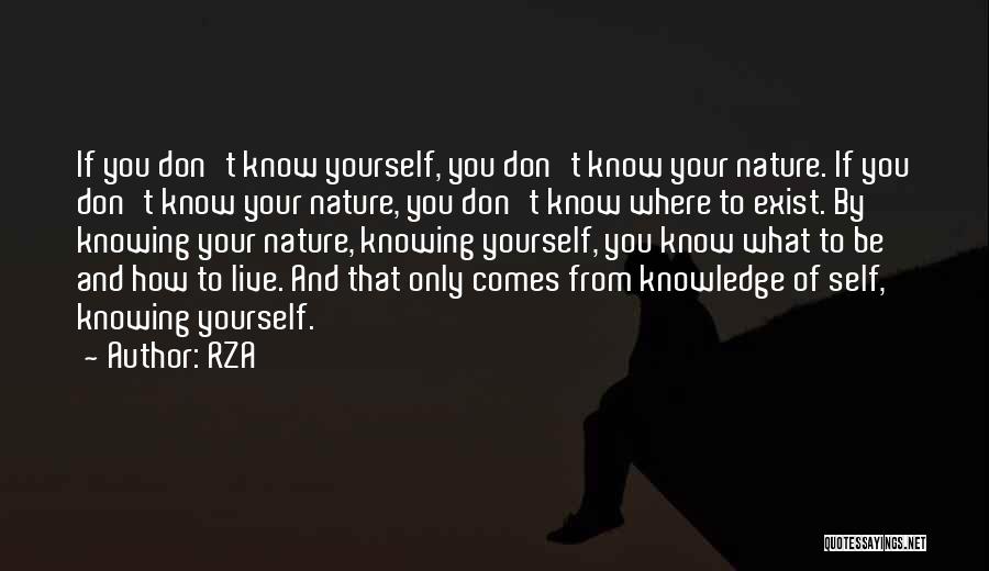 Knowing Where You're From Quotes By RZA