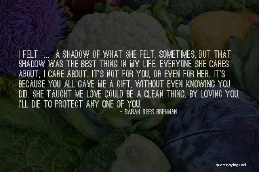 Knowing Who Cares Quotes By Sarah Rees Brennan Knowing Who Cares Quotes By Sarah Rees Brennan