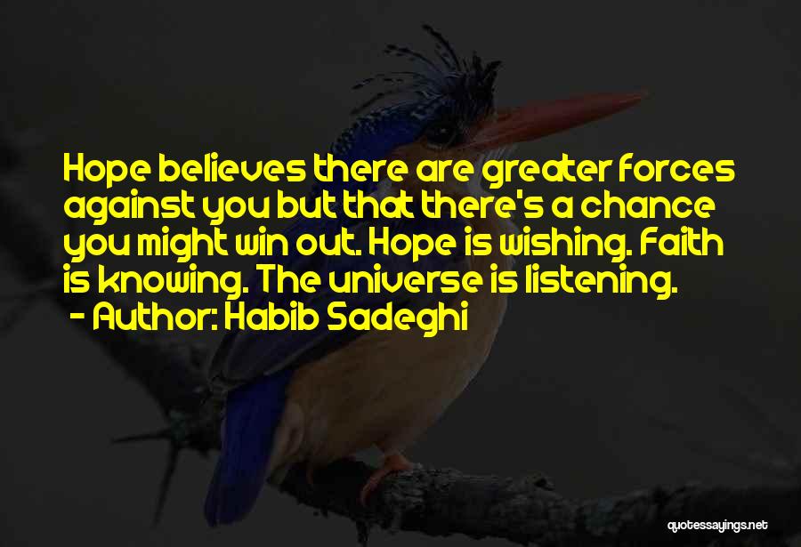 Knowing You Are There Quotes By Habib Sadeghi