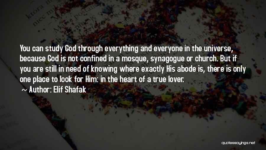 Knowing Your Lover Quotes By Elif Shafak