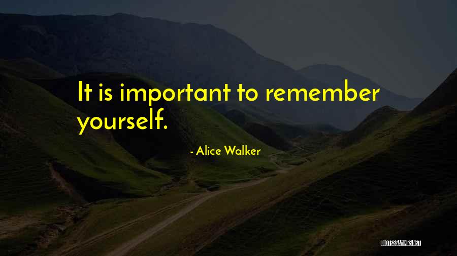 Knowing Your Values Quotes By Alice Walker Knowing Your Values Quotes By Alice Walker
