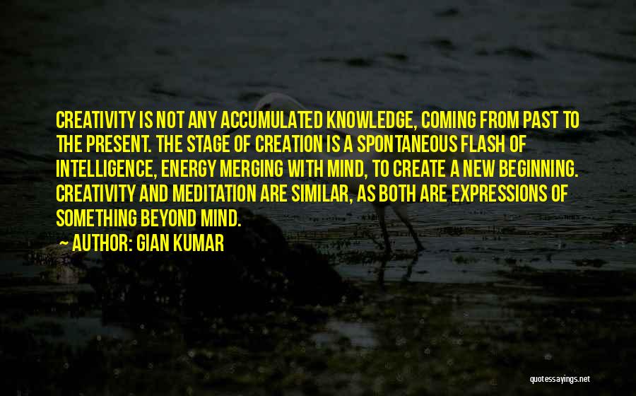 Knowledge And Creativity Quotes By Gian Kumar