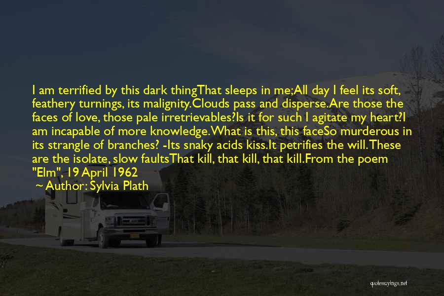 Knowledge And Love Quotes By Sylvia Plath