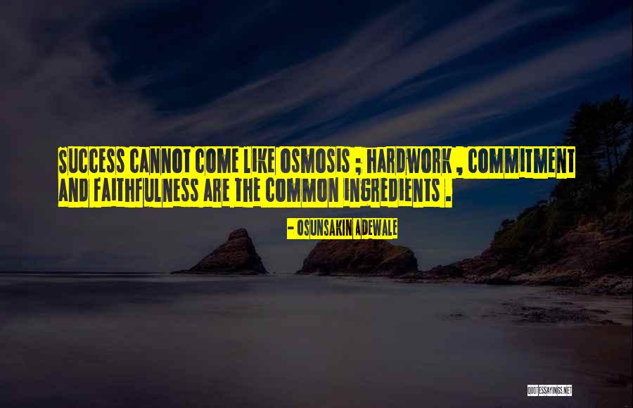 Knowledge And Success Quotes By Osunsakin Adewale Knowledge And Success Quotes By Osunsakin Adewale