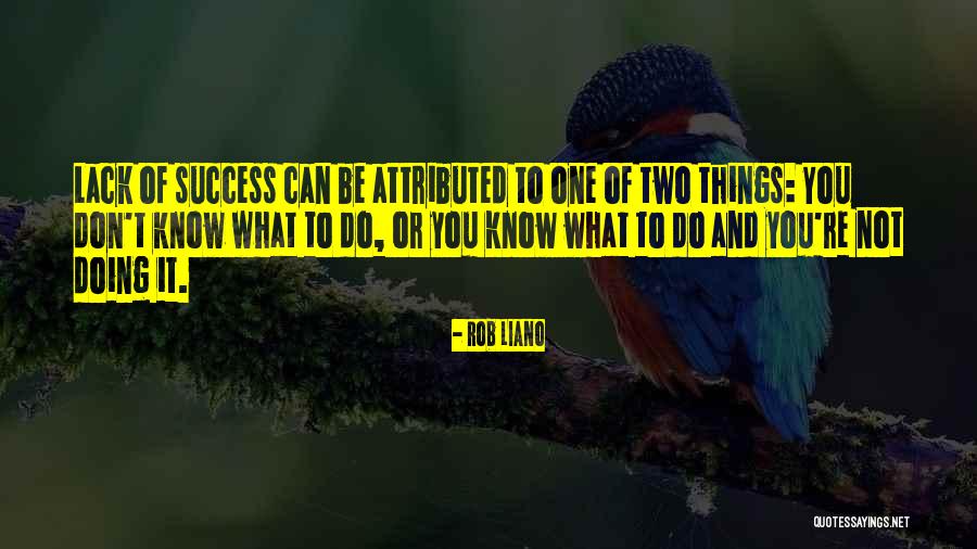 Knowledge And Success Quotes By Rob Liano Knowledge And Success Quotes By Rob Liano