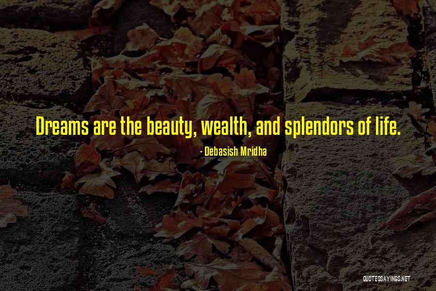 Knowledge And Wealth Quotes By Debasish Mridha