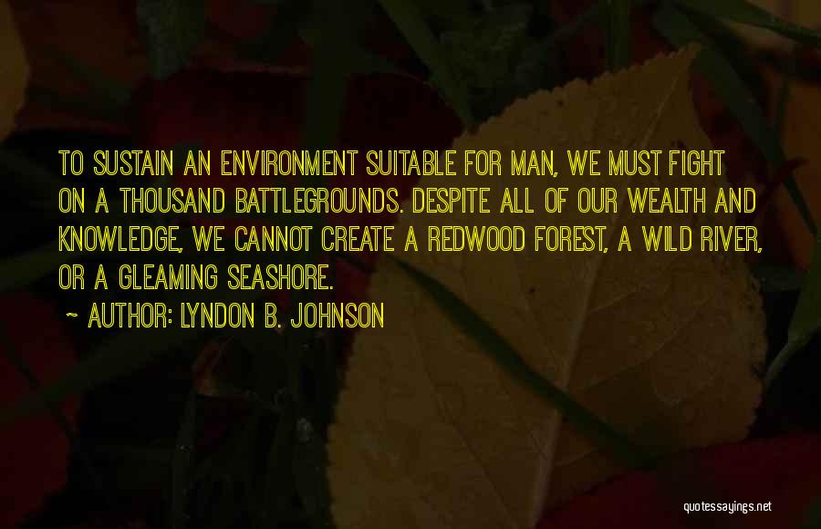 Knowledge And Wealth Quotes By Lyndon B. Johnson
