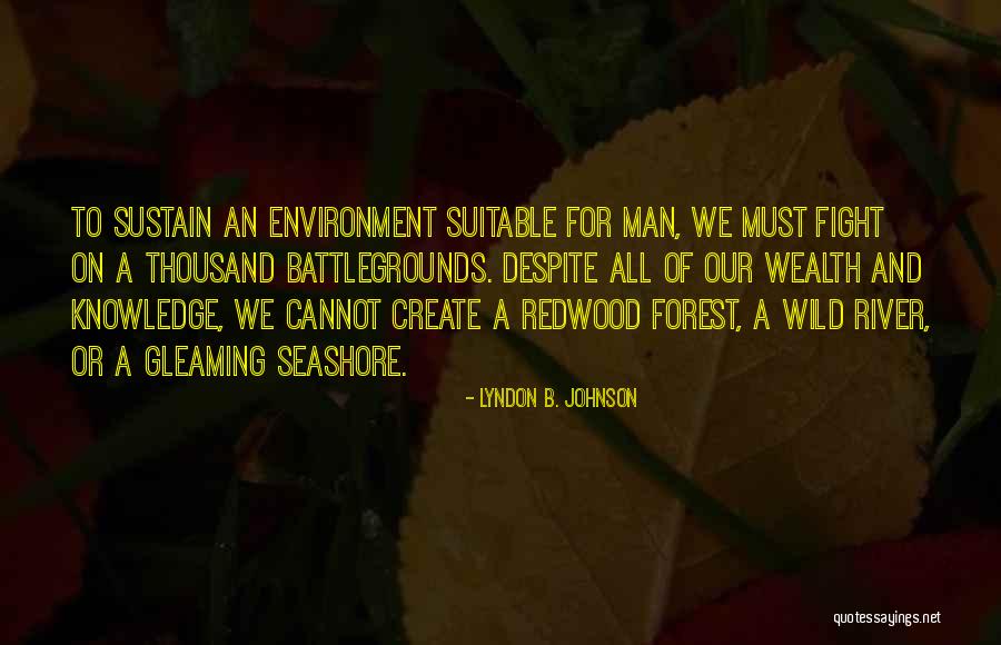 Knowledge And Wealth Quotes By Lyndon B. Johnson