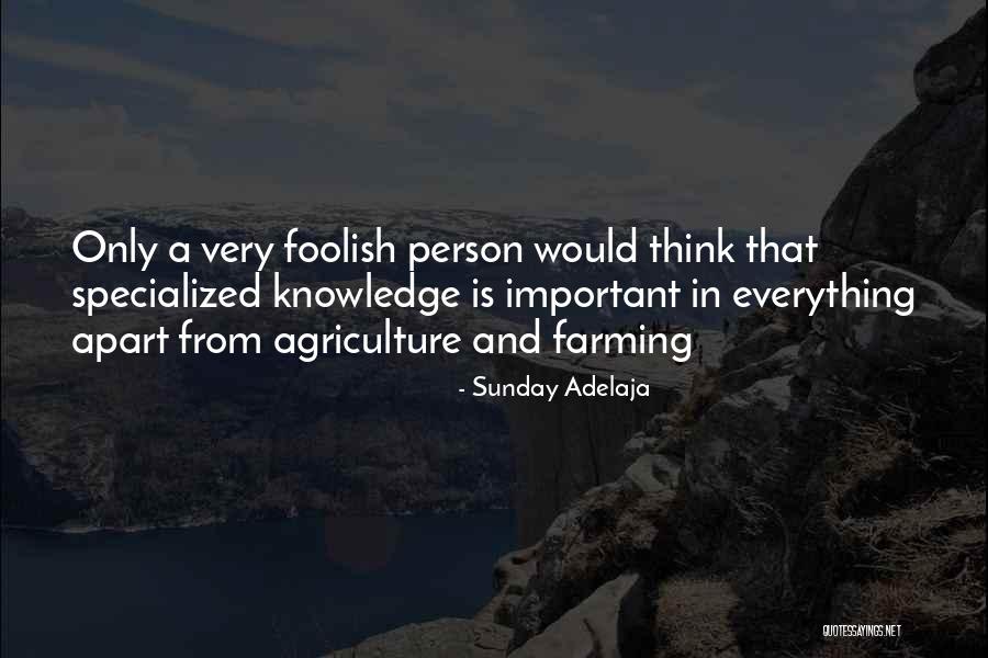 Knowledge And Wealth Quotes By Sunday Adelaja