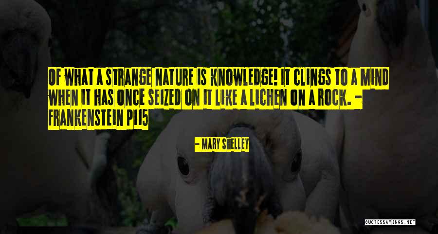 Knowledge From Frankenstein Quotes By Mary Shelley Knowledge From Frankenstein Quotes By Mary Shelley