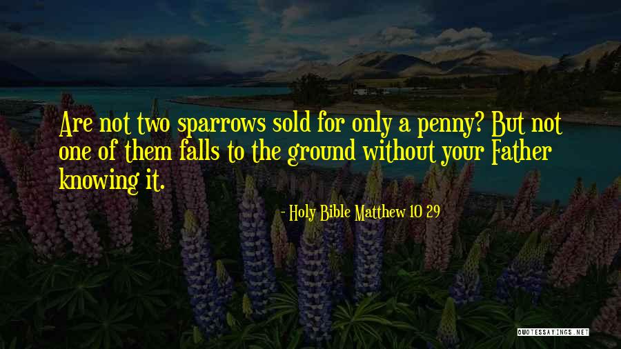 Knowledge From The Bible Quotes By Holy Bible Matthew 10 29