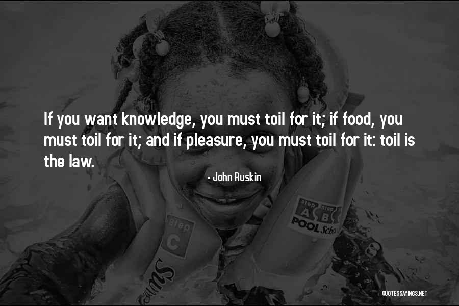 Knowledge Is Food Quotes By John Ruskin