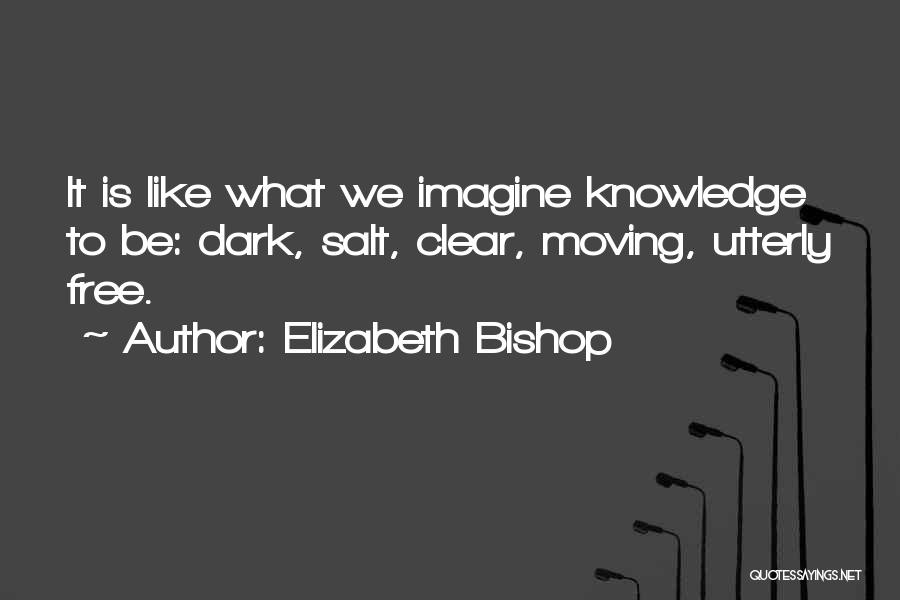 Knowledge Is Free Quotes By Elizabeth Bishop