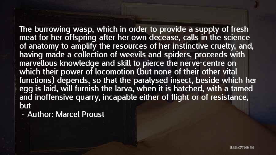 Knowledge Is Power And Other Quotes By Marcel Proust