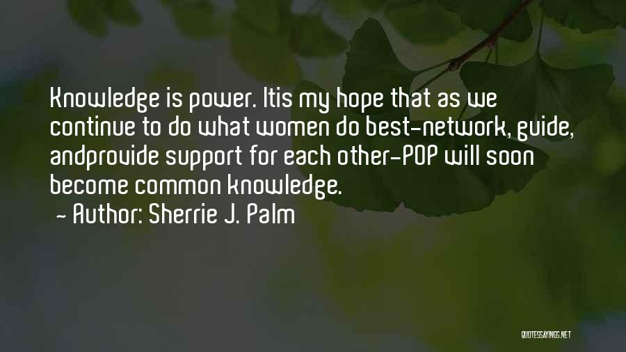 Knowledge Is Power And Other Quotes By Sherrie J. Palm