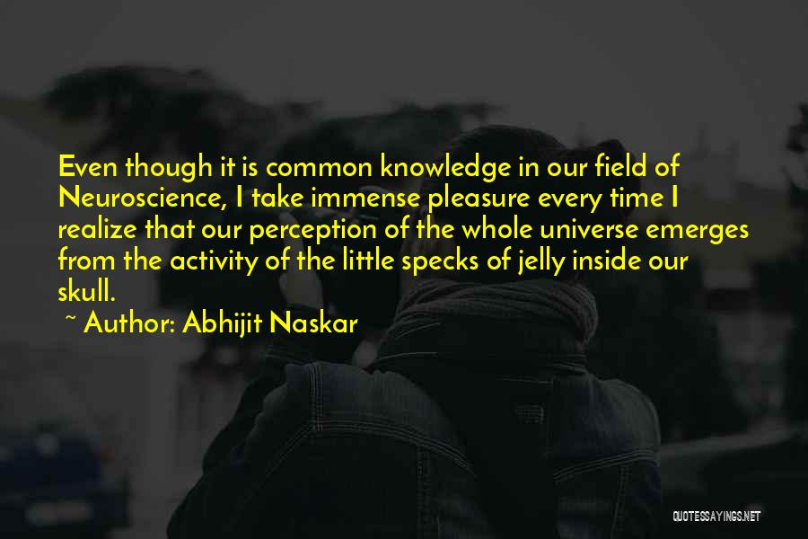 Knowledge Of Human Nature Quotes By Abhijit Naskar