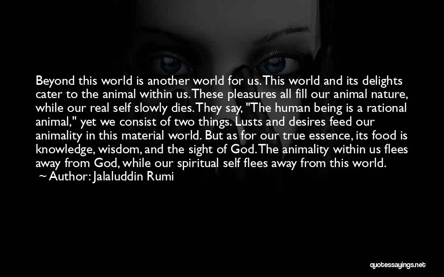 Knowledge Of Human Nature Quotes By Jalaluddin Rumi