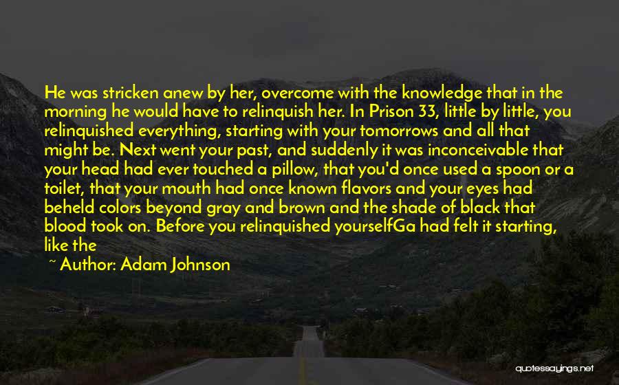 Knowledge Of Past Quotes By Adam Johnson