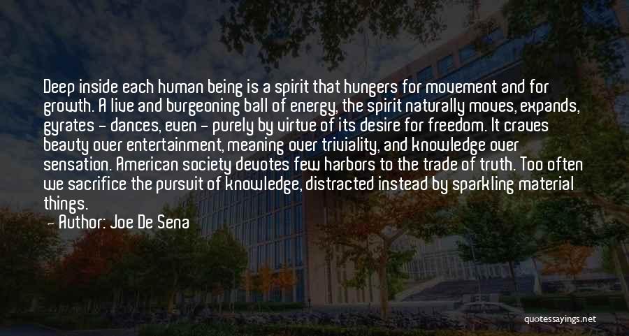 Knowledge Pursuit Quotes By Joe De Sena