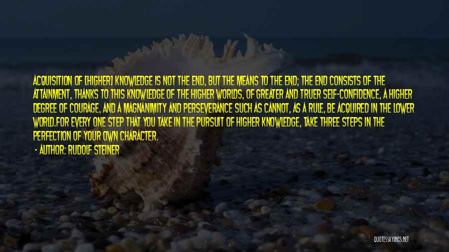 Knowledge Pursuit Quotes By Rudolf Steiner