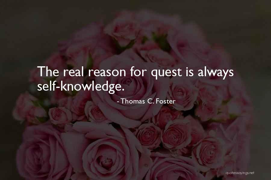 Knowledge Quest Quotes By Thomas C. Foster