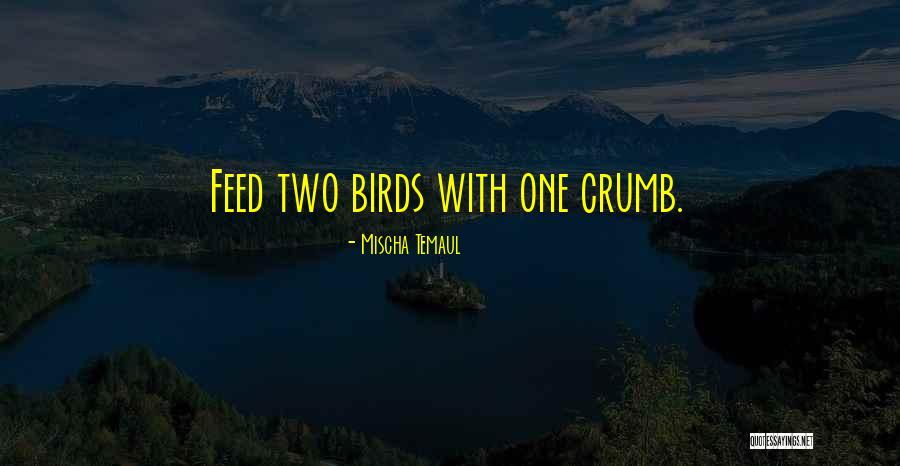 Knowledge Teaching Quotes By Mischa Temaul Knowledge Teaching Quotes By Mischa Temaul