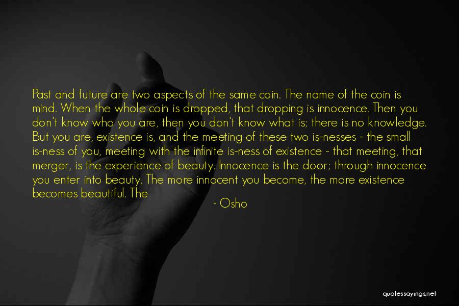 Knowledge Vs Beauty Quotes By Osho