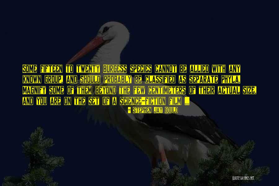 Known Film Quotes By Stephen Jay Gould Known Film Quotes By Stephen Jay Gould