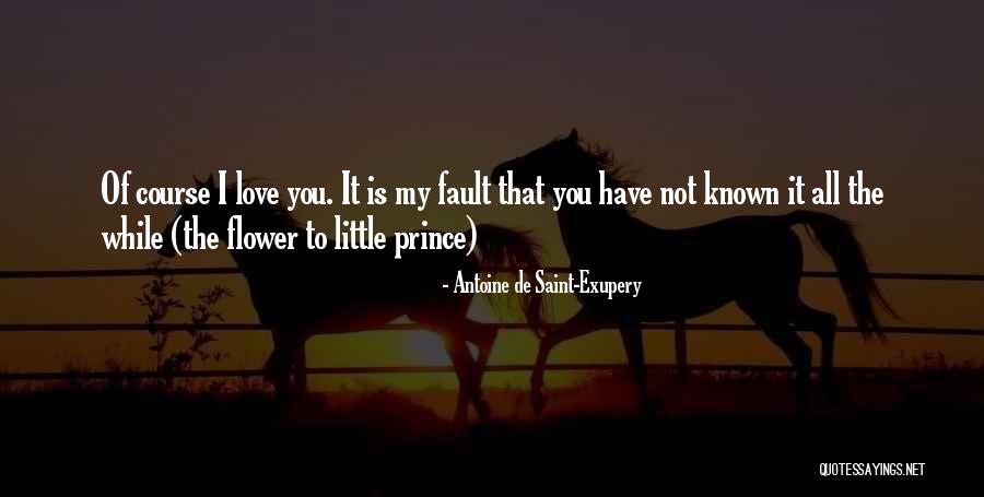 Known Love Quotes By Antoine De Saint-Exupery