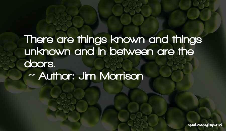 Known Unknown Quotes By Jim Morrison