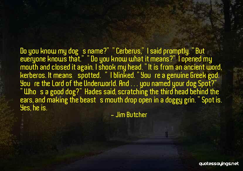 Knows Your Name Quotes By Jim Butcher Knows Your Name Quotes By Jim Butcher