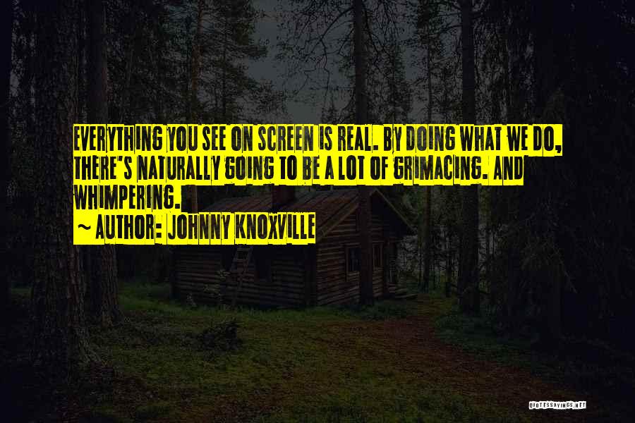 Knoxville Quotes By Johnny Knoxville