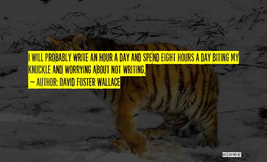 Knuckle Quotes By David Foster Wallace