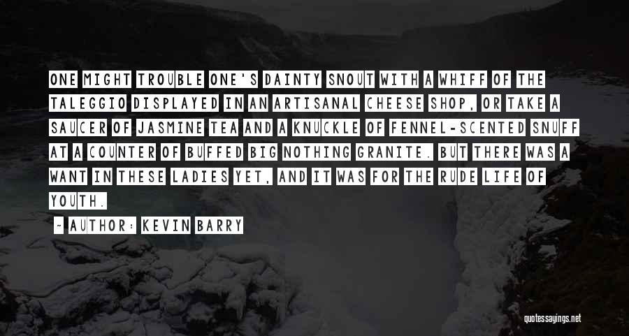 Knuckle Quotes By Kevin Barry