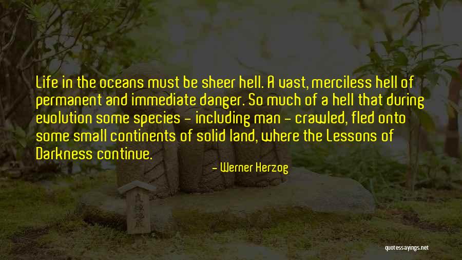 Knuckles Echidna Quotes By Werner Herzog Knuckles Echidna Quotes By Werner Herzog
