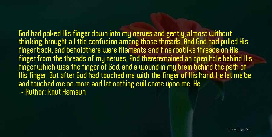 Knut Hamsun Quotes 1037533 Knut Hamsun Quotes 1037533