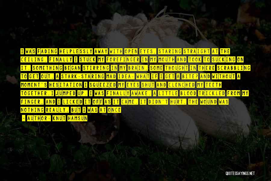 Knut Hamsun Quotes 1088305 Knut Hamsun Quotes 1088305