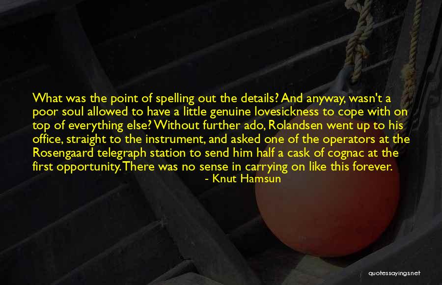 Knut Hamsun Quotes 1204593