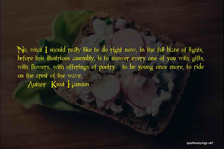 Knut Hamsun Quotes 1222315 Knut Hamsun Quotes 1222315