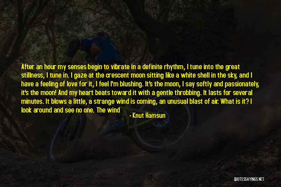Knut Hamsun Quotes 1382487 Knut Hamsun Quotes 1382487