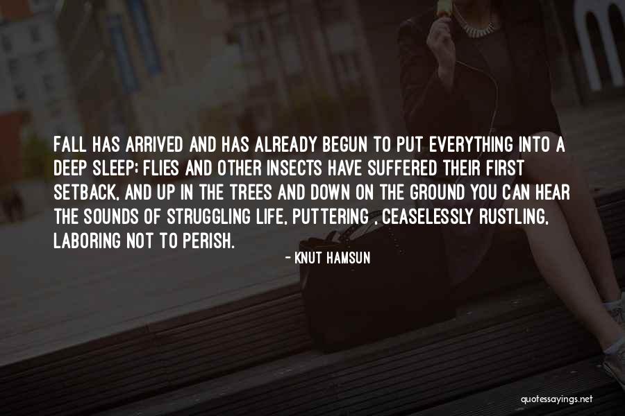 Knut Hamsun Quotes 1478524