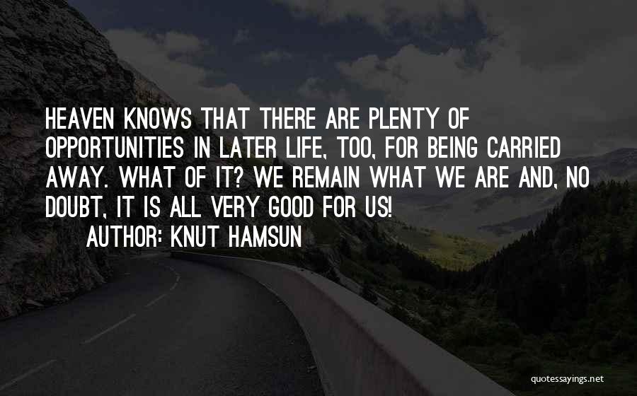 Knut Hamsun Quotes 2216052