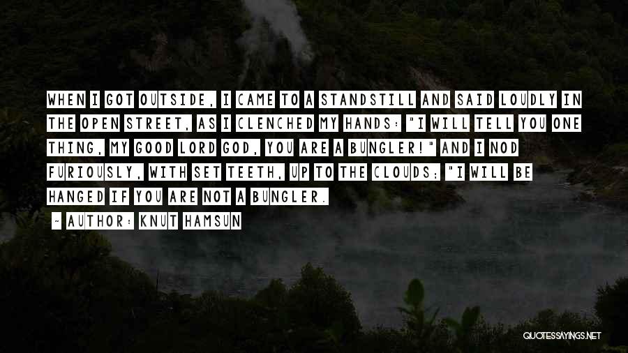 Knut Hamsun Quotes 359950