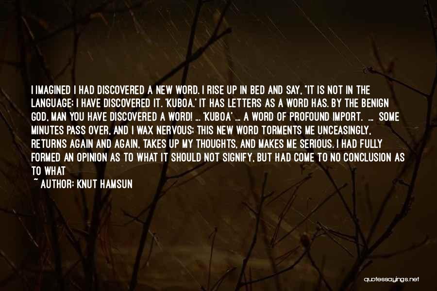 Knut Hamsun Quotes 770454